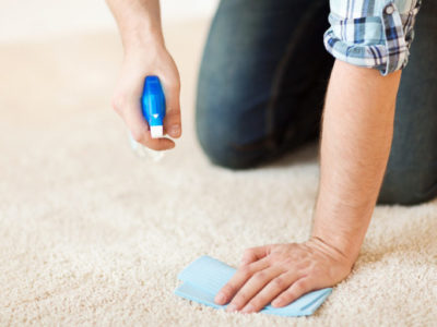 Carpet Carpet