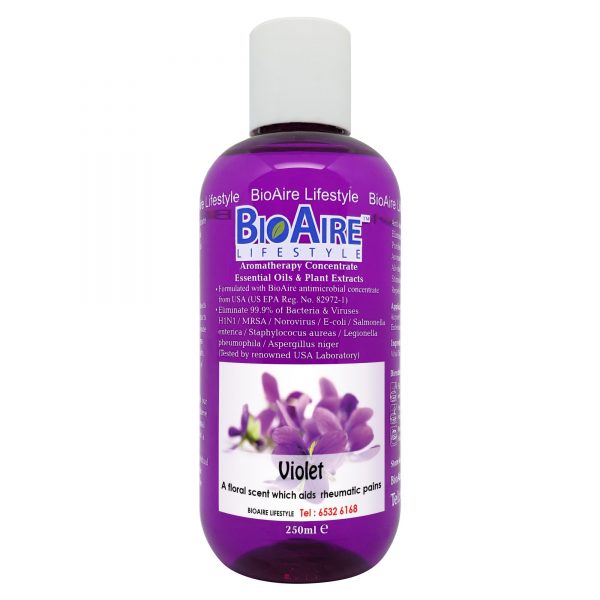 water based violet essential oil